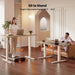 Electric Height Adjustable Standing Desk 48X24 Inch, Light Walnut