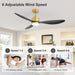 Contemporary 52 Inch Dc Motor Ceiling Fan With Remote