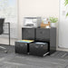 2 Drawer File Cabinets,Metal Office File Cabinet with Lock,Black