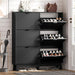 Sleek Black Entryway Shoe Cabinet With Organization