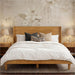 Queen Size Solid Wood Bed Frame with Wingback Headboard, Walnut Brown Finish, Platform Bed Frame, No Box Spring Required