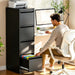 4 Drawer File Cabinet, Lockable Metal Vertical File Cabinet for Home Office