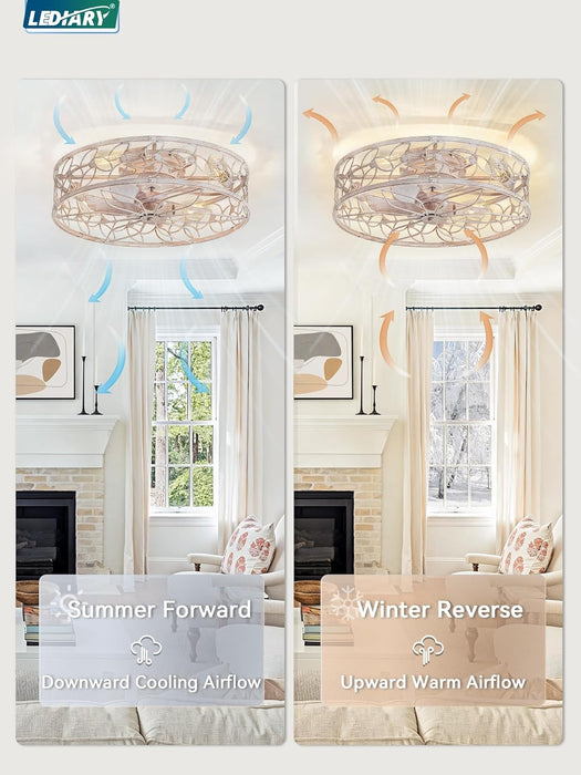 Contemporary 23 Inch White Gold Caged Ceiling Fan