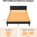 Full Upholstered Bed Frame, Adjustable Headboard, PU Leather Black