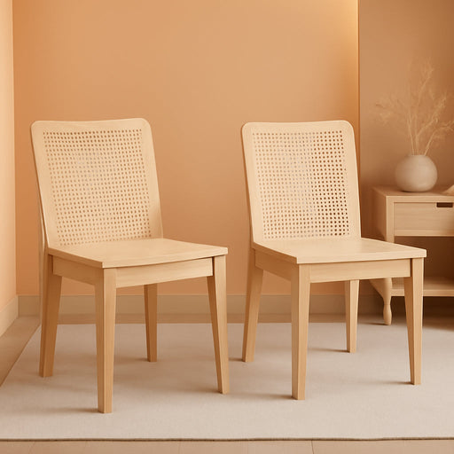 Home Collection Benicio Natural Rattan Dining Chair (Set of 2) DCH1005D-SET2