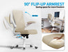 Office Chair: Mesh Ergonomic Desk Chair with 3D Lumbar & Swivel