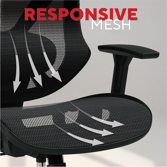 Dexley Ergonomic Mesh Task Chair, Lumbar Support, Swivel, Black