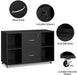 Black File Cabinet Large Mobile Storage Lateral Filing Cabinet with 2 Drawer and 4 Open Compartments,For Letter Size A4 Size, Printer Stand for Home Office, Black