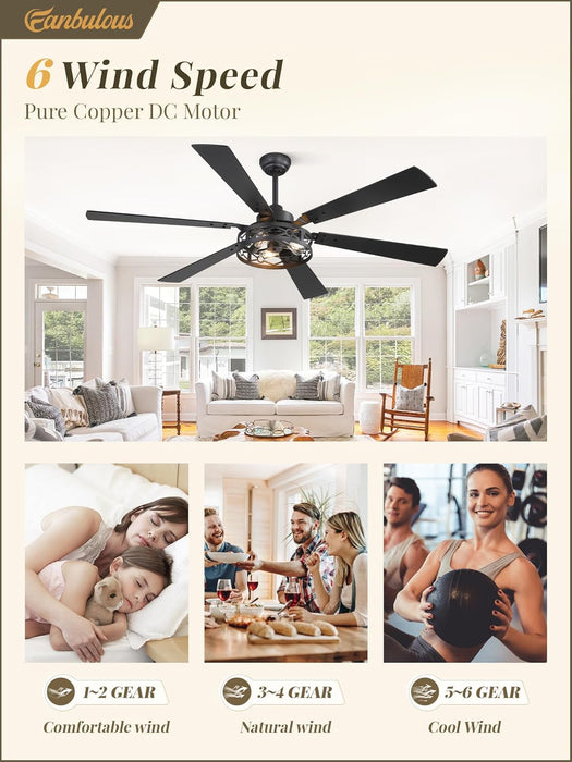 65 Inch Ceiling Fan with Lights, Farmhouse Caged Ceiling Fans with Remote, Black Industrial Ceiling Fans with Quiet Reversible DC Motor, Large Ceiling Fan for Living Room, Bedroom