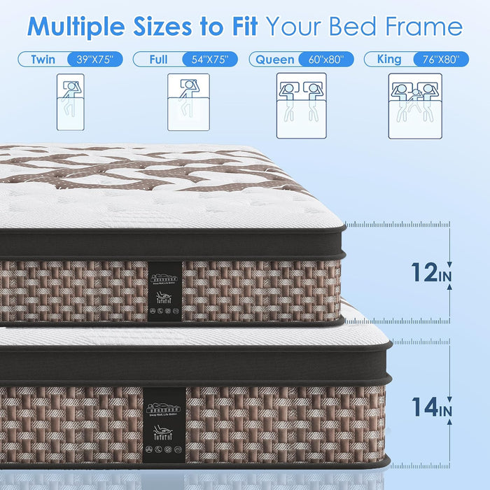 Queen Mattress 12 Inch, Hybrid Mattress, Medium Firm for Back Support