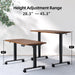 Adjustable Electric Standing Desk for Home Office Use - ShipItFurniture