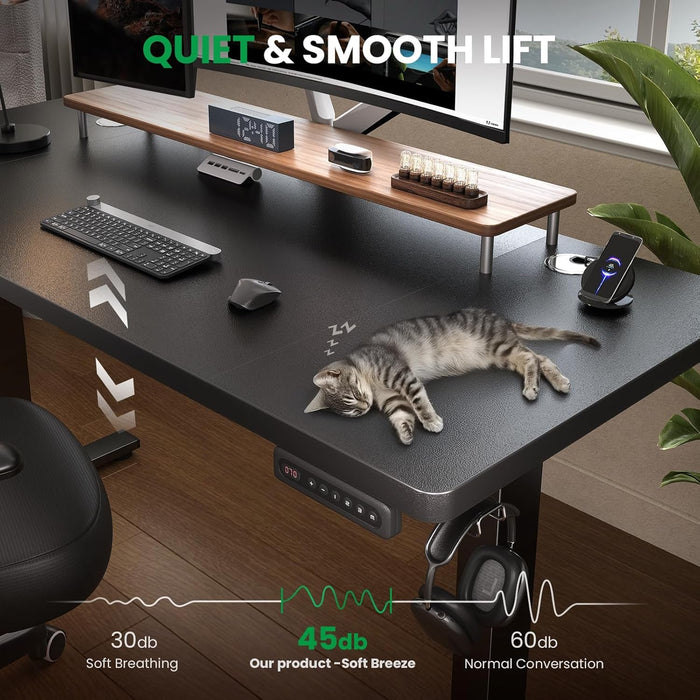 Adjustable Electric Standing Desk with Memory Presets - ShipItFurniture