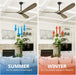 Expert Design 52 Inch Indoor Outdoor Ceiling Fan