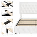 Queen LED Bed with 4 Drawers, LED Lights Platform Storage Bed Frame with Upholstered Adjustable Button Tufted Headboard, PU White