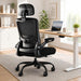 Ergonomic Office Chair for Lower Back Relief, 4-Way Lumbar, 330 LBS