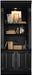 Traditional 3 Shelf Bookcase with One Canister Light Controlled in Black with Reddish Brown Rub Though