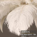 Luxury LED Ostrich Bird Feather Chandelier Lamp White Living Room Ceiling Light Home Decoration Hanging Lighting Fixture