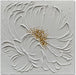 Art 24X24 Inches Hand-Painted White Textured Flower Oil Painting. Modern Abstract Art. Suitable for Decoration on Walls of Living Room, Bedroom or Office
