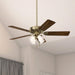 Fan Company, 53063, Studio Series 52 Inch Ceiling Fan with Lights, 4 Covered Energy Efficient LED Lights, Pull Chain, Antique Brass