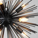 TwentyInch Black Sputnik Chandelier Luxurious Nine Light