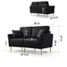 2-Seater Sectional Couches for Living Room with Channel Tufted on Back, Seat Cushions and 2 Throw Pillows, Modular Sectional Sofa, Black