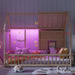Luxurious Cottage PlatformBed TwinSize With Bookshelf LED