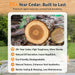 10X12 FT Cedar Wood Gazebo,Hardtop Wooden Gazebo with 4.6In Thickened Posts&High Load-Bearing Galvanized Steel Roof for Outdoor, Patio, Backyard-Natural