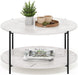 BESI Coffee Table, 2-Tier round Coffee Table with Storage, Shelf and Metal Legs, for Living Room, Light Marble
