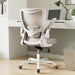 Office Chair, Ergonomic Desk Chair with Adjustable Lumbar Support and Flip up Armrest, Breathable Mesh Computer Chair for Home Office, Khaki