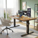 48 X 24 Standing Desk, Height Adjustable Electric Computer Desk, Sit Stand up Home Office Workstations, Rustic Brown