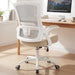 Office Desk Mesh Chair with Adjustable Ergonomic Lumbar, Beige