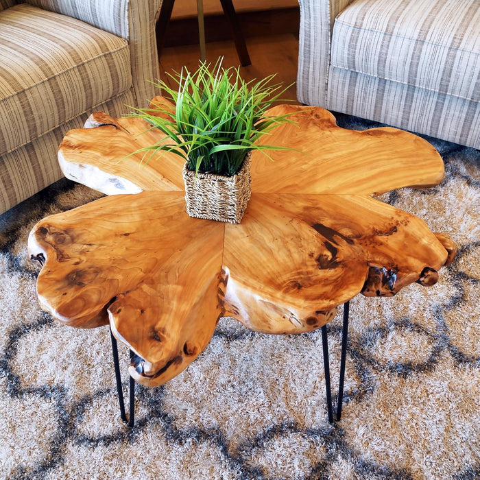 Live Edge Cedar Coffee Table 32" W X 32" D X 20.5" H Rustic round Table for Living Room, Patio, Bedroom, Home Office