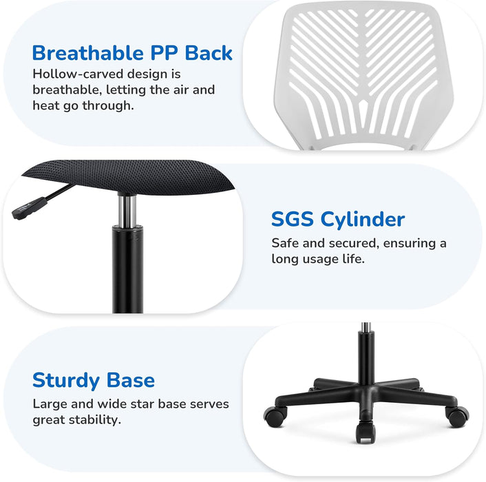 Students Cute Desk Chair Low-Back Armless Study Chair W/Lumbar Support Adjustable Swivel Chair in Home Bedroom School, Dark Gray