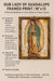 Mrcjsales - Our Lady of Guadalupe Oil Painting, 13"X18" Inches, Rustic Frame, Religious Art, Home & Church Decor