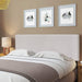 Roanne Plain Headboard, King, Fog