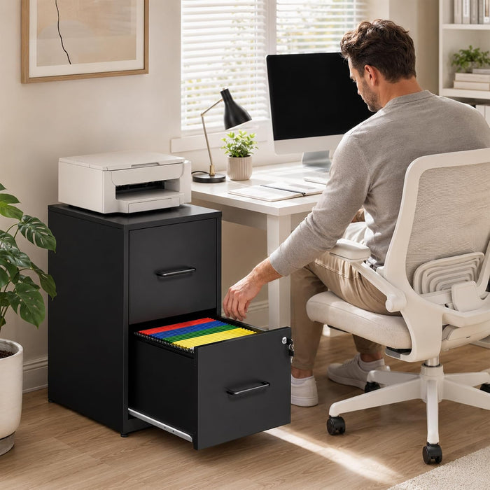 2 Drawer File Cabinet with Lock, Metal Vertical File Cabinets for Home Office, Office Furniture for Organization Hanging Legal/Letter/A4, Office File Cabinet Storage Cabinet, Require Assembly, Black