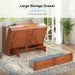 Queen Murphy Bed Cabinet With Mattress USBChargingPort