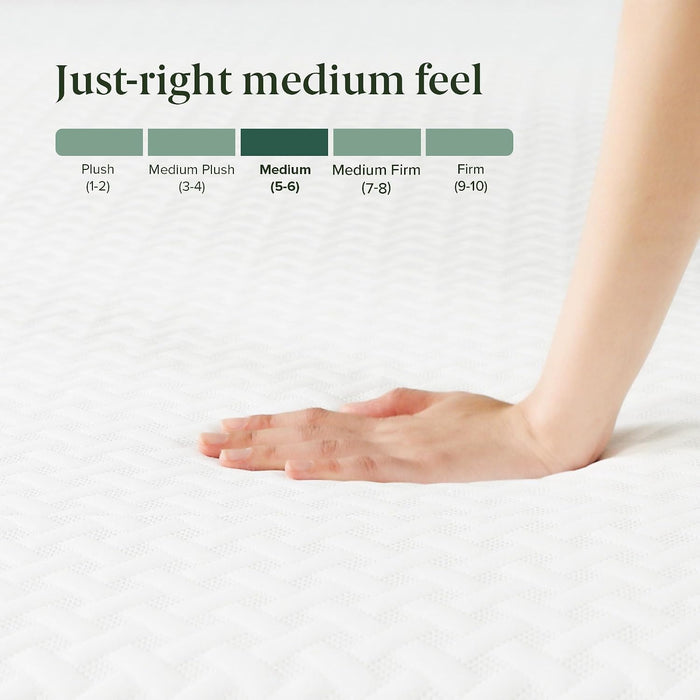 12 Inch Queen Green Tea Essential Memory Foam Mattress, Medium Feel