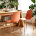 Dining Chairs Set of 2, Plastic Stackable Kitchen Chairs, Modern Indoor/Outdoor Chair with Metal Legs for Dining Room, Kitechen, Cafes, Restaurants (Terracotta)