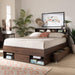 Beds (Platform), Queen, Dark Brown