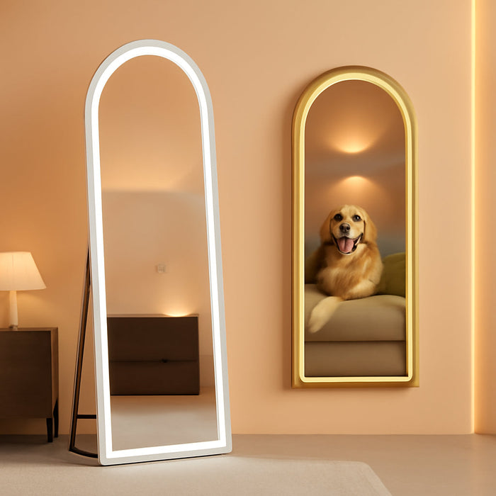 Full Length LED Light Floor Mirror, 56 x 20 Inches