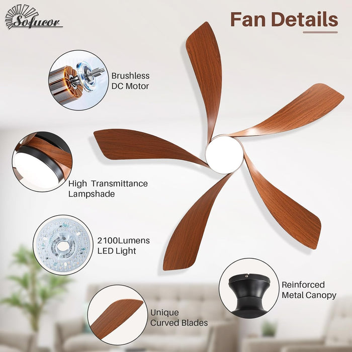 Smart Ceiling Fan With Dimmable Integrated Lighting