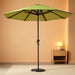 12-Year Protection 7.5-Ft Outdoor Patio Umbrella, Sunbrella Fade-Resistant Fabric, Auto-Tilt, Heavy Duty Aluminum Frame, 8 Reinforced Ribs for Pool or Deck, Bronze Pole, Parrot