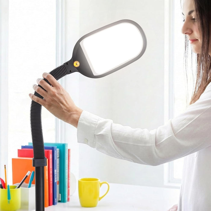 Litespan - Bright LED Floor Reading Lamp for over Chair Crafts and Reading, Esthetician Light for Lash Extensions, Gooseneck Adjustable Standing Lamp for Living Room, Bedroom, Office - Black