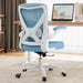 Office Chair: Mesh Ergonomic Desk Chair with 3D Lumbar & Swivel