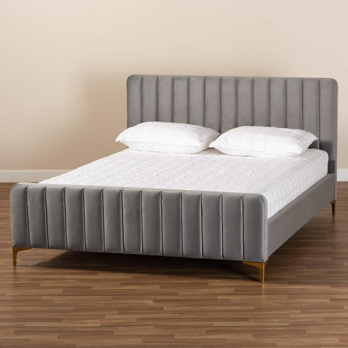 Nami Modern Contemporary Glam and Luxe Light Grey Velvet Fabric Upholstered and Gold Finished Queen Size Platform Bed