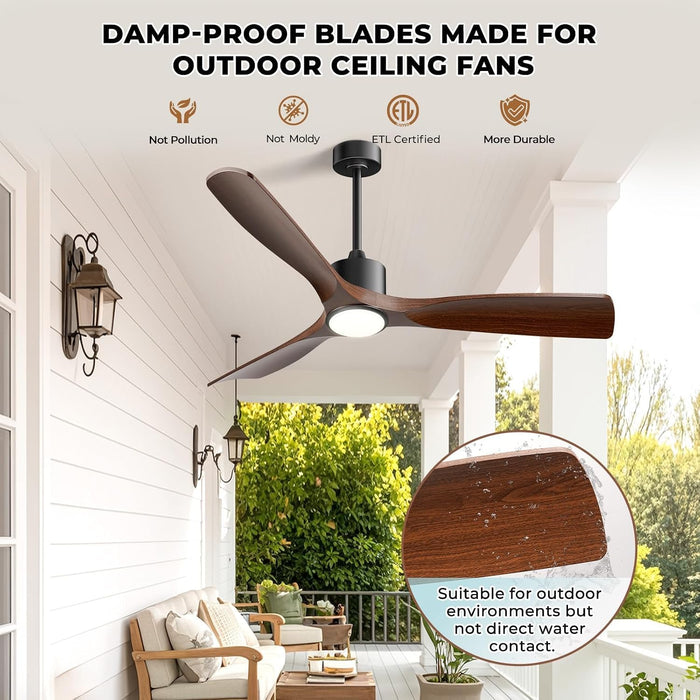 60-Inch Contemporary Dimmable Outdoor Smart Ceiling Fan
