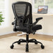 Office Chair Ergonomic Desk Chair - Computer Chair with 3D Lumbar