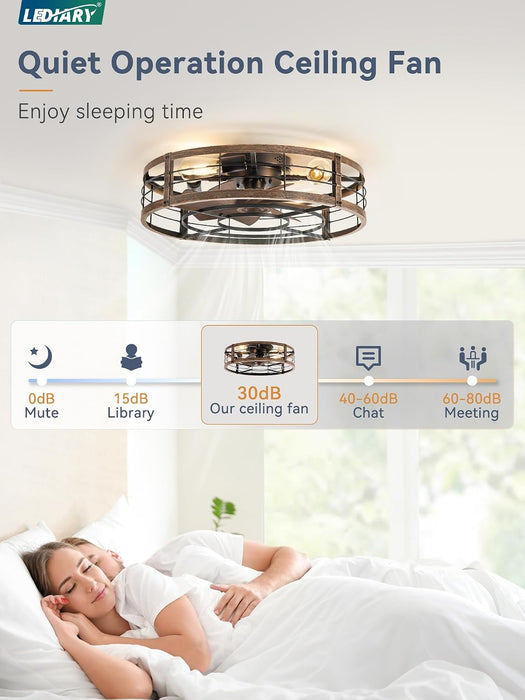 23" Black Gold Caged Low Profile Ceiling Fan with Light and Remote