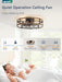 23" Black Gold Caged Low Profile Ceiling Fan with Light and Remote